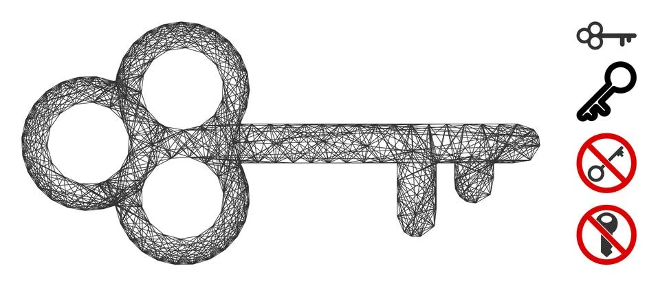Net Secret Key Vector Mesh Illustrazione stock