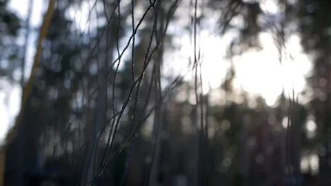 NET for volleyball Video stock 93155786