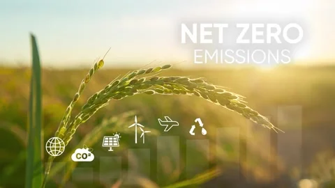 Net Zero Carbon Neutral Concept Stock Video Pond