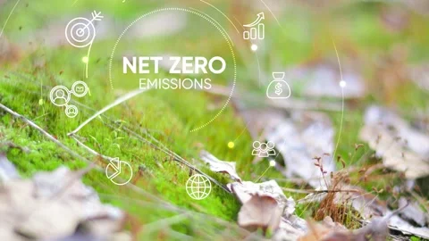 Net zero and carbon neutral concept 2050. Net zero icons In Green Forest  Stock Footage 266730568