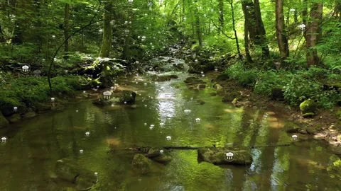 Net zero carbon dioxide icons on magic green forest river background Stock Footage 341899545