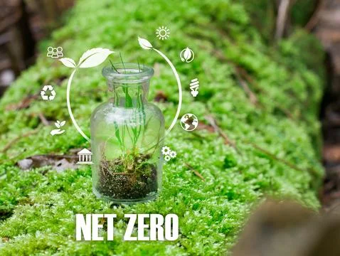 Net zero , carbon neutral concept. Net zero greenhouse gas emissions target. Stock Photos