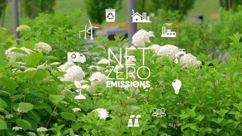 Net zero emission and carbon neutral concept. Net zero icons In Green Forest Stock Footage 244951161