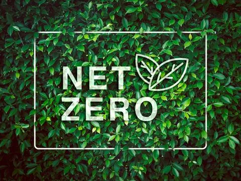 Net zero icon overlay on green leaves bush background with modern white fra.. 스톡 사진
