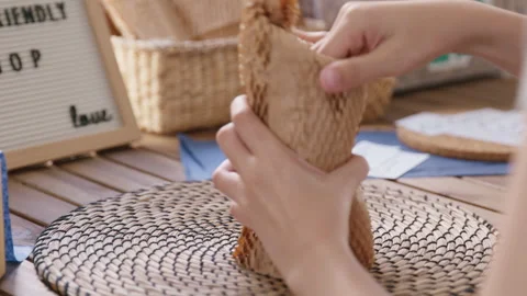 Net Zero SME eco friendly seller go green shop in Earth care day. 動画素材 229616215