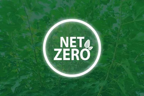 Net Zero text in neon circle with green leaves. Illustrazione stock