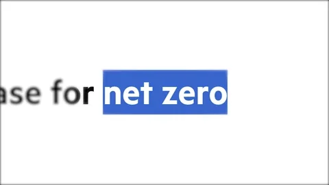 Net zero text search highlight on screen kinetic typography animation Stock Footage 336255007