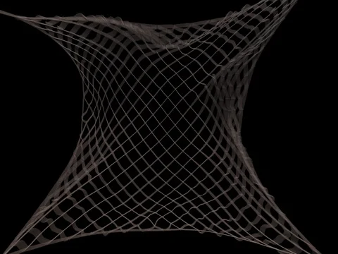 Netgun net. Alpha included. Stock Footage 80546463