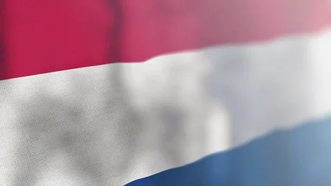 Netherland flag animated 스톡 동영상 80597653