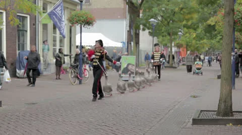 Netherlands 1.mp4 Stock Footage 24830377