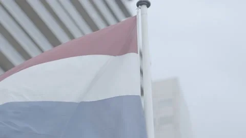 Netherlands Flag 4k 60fps s-log3 Footage Vidéo 196182977