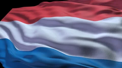 Netherlands flag ripple Video stock 8854925