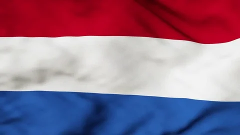 The Netherlands flag waving in the wind Stock Footage 80680740