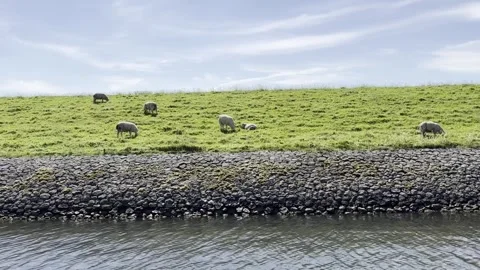 Netherlands Stock Footage 303962541