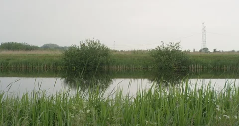 Netherlands, Krommenie, landscape Stock Footage 99112007