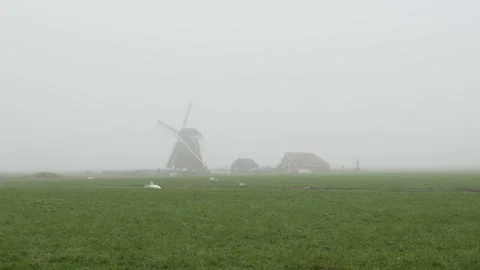Netherlands mill in the fog Stock Footage 296502661
