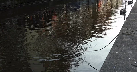 Netherlands : Pulling a rope with magnet from the canals of Amsterdam . Video stock 104044038