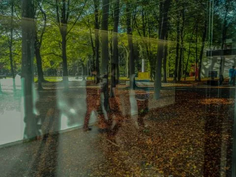 Netherlands Reflections 스톡 사진