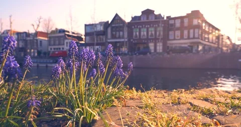 Netherlands Utrecht Bicycle Commute Stock Footage 107165490