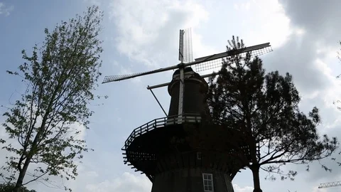 Netherlands Windmill and Trees Low Angle 스톡 동영상 101632576