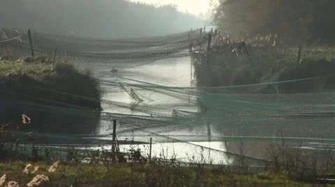 Nets above a canal in Italy Video stock 34268097
