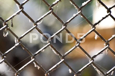 Net/steel net Stock Photos