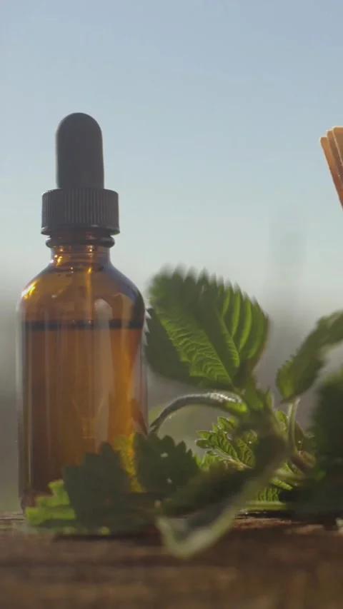 Nettle Extract Oil Bottle Stock Footage 278457424