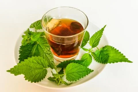 Nettle infusion Stock Photos