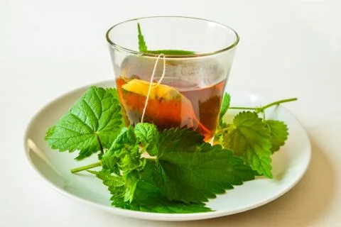Nettle infusion Stock Photos
