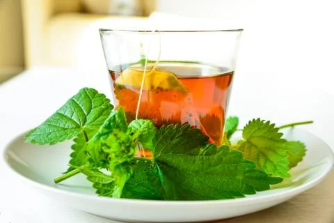 Nettle infusion Stock Photos