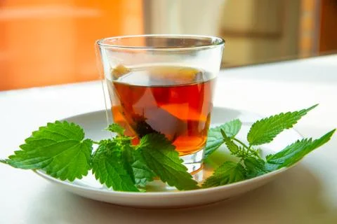 Nettle infusion Stock Photos