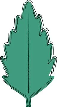 Nettle leaf with outline, logo Stock Illustration