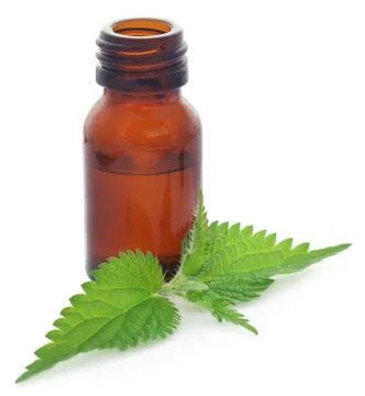 Nettle leaves with extract Stock Photos