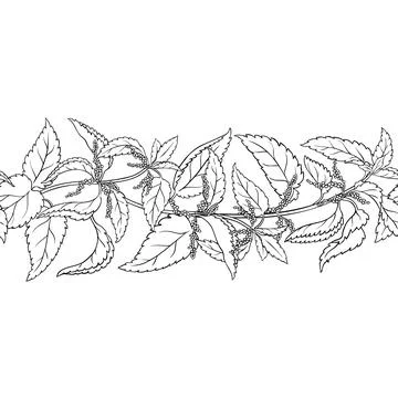 Nettle Outline Horizontal Seamless Pattern. Stock Illustration
