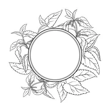 Nettle Plant Outline Round Frame. Stock Illustration