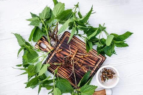 Nettle root on cutting board. Lamium album, white nettle or white dead-nettle Stock Photos