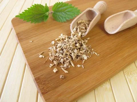 Nettle root, Urticae radix Stock Photos