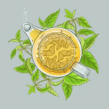 Nettle tea illustration Stock-Illustration
