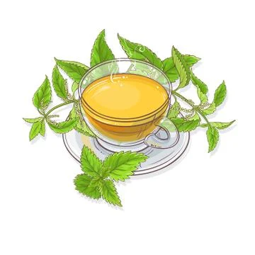 Nettle tea illustration Illustrazione stock