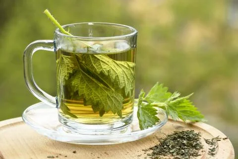 Nettle tea Stock Photos