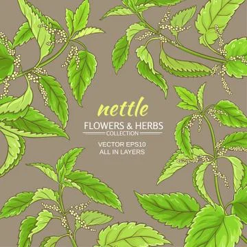 Nettle vector frame Stock Illustration