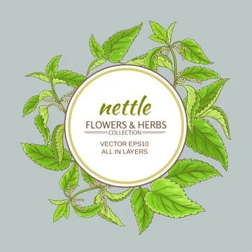 Nettle vector frame Stock Illustration