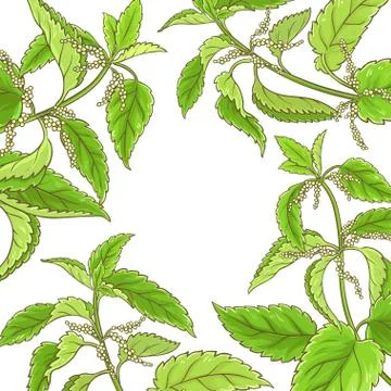 Nettle vector frame Stock Illustration