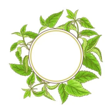 Nettle vector frame Stock Illustration