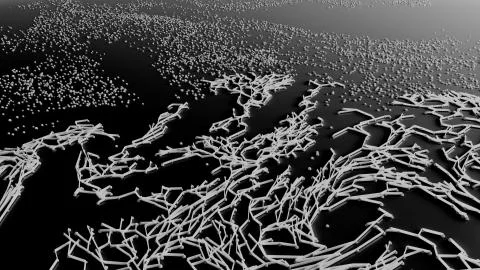 Network animation connected dots or growing trails Stock Illustration