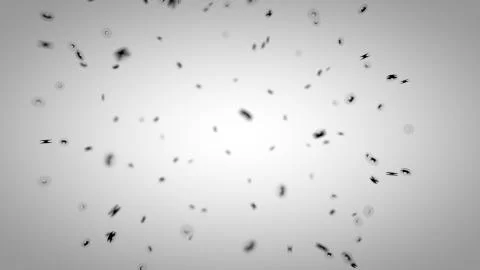 Network animation connected lines dots Stock Illustration