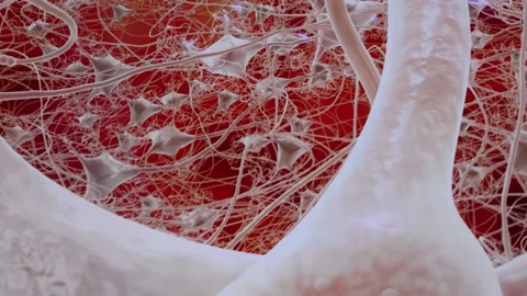 Network brain synapses complex web of impulses red background abstract science v Stock Footage 311649096