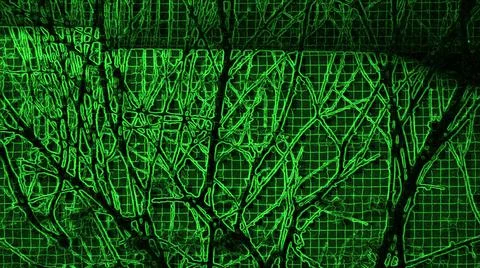 A network of bush branches in a square matrix of being. Stock Illustration