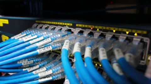 Network cable and switch Stock Footage 50246523