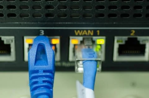 Network cable and switch port in the data center Stock-Fotos